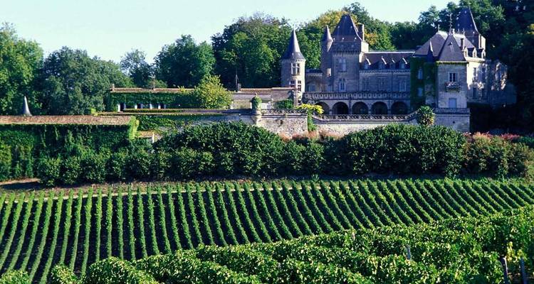 Château de pierre s'élevant derrière des rangées nettes de vignes dans la campagne bordelaise.
