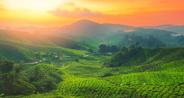 Les hauts lieux de la Malaisie (from Kuala Lumpur to Île de Penang) - Intrepid Travel 8