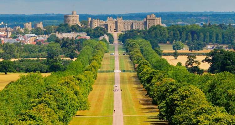 Longue promenade menant à travers un parc verdoyant jusqu'à la grande silhouette du château de Windsor.