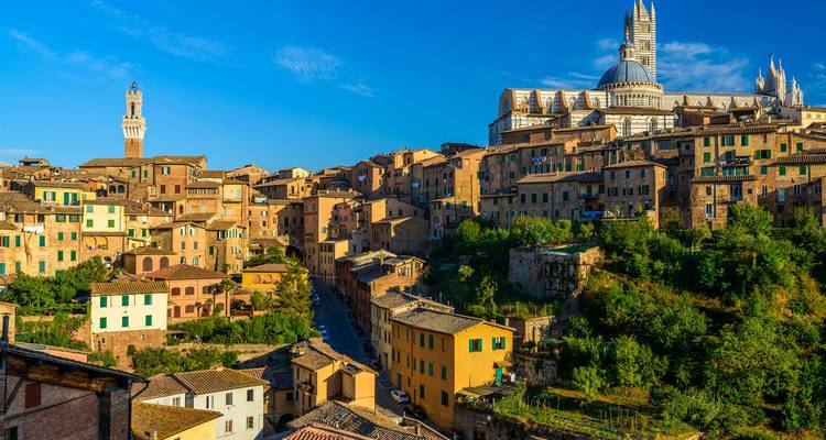Ville médiévale perchée de Sienne baignée de soleil avec la cathédrale et la Torre del Mangia dominant les maisons rustiques.