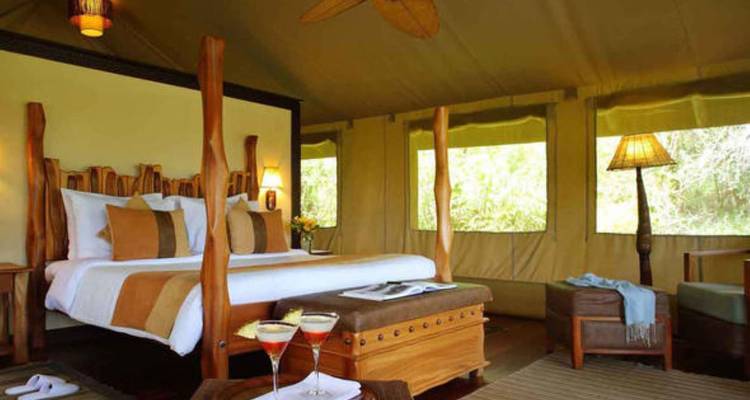 Luxe tentenaccommodatie met een rustieke bedopstelling.