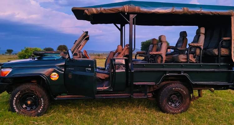 Safariwagen geparkeerd op grasrijke vlaktes.