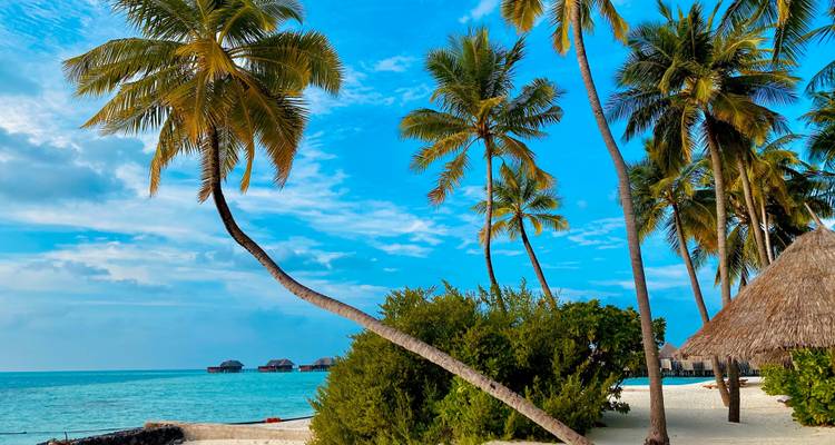 Lifetime Experience In Maldives - Capital Lanka Tours 3
