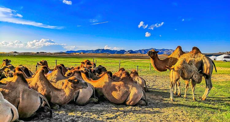 Voyage familial sur mesure en Mongolie avec départ quotidien - Agate Travel 3