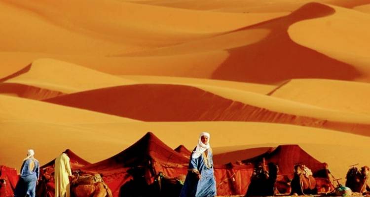 Groep mensen en kamelen in traditionele tenten in een woestijnomgeving.