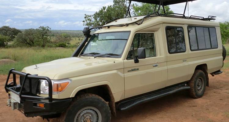 Safari clásico de 7 días en Tanzania - Kiriwe Travel And Trekking Safaris Ltd 8
