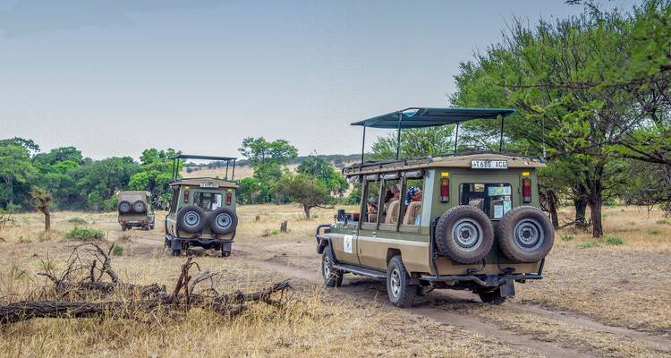 Safari clásico de 7 días en Tanzania - Kiriwe Travel And Trekking Safaris Ltd 10