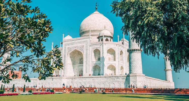 Le Taj Mahal avec un environnement verdoyant et un ciel dégagé.