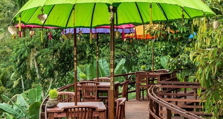 Delve Deep: Bali & the Gili Islands - Topdeck 8