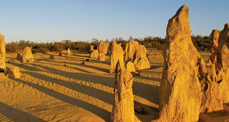 Des flèches de calcaire doré projetant de longues ombres sur un terrain désertique sablonneux sous une lumière chaude du soir