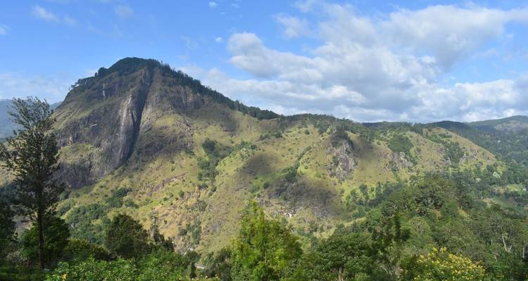 Encantadora Serendipia: Un viaje por el corazón de Sri Lanka - Apple Vacations Pvt Ltd 8