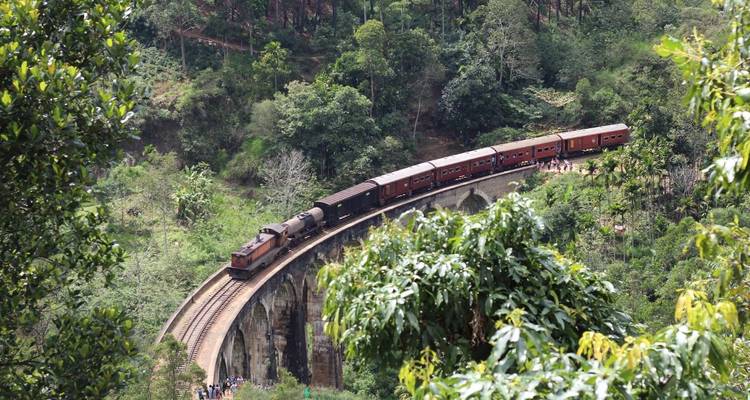 Encantadora Serendipia: Un viaje por el corazón de Sri Lanka - Apple Vacations Pvt Ltd 4