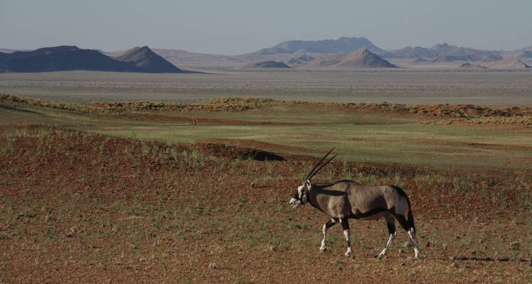 Circuit de 11 jours avec hébergement en Namibie - Bluecrane Safaris Namibia 3