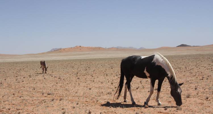Circuit de 11 jours avec hébergement en Namibie - Bluecrane Safaris Namibia 4