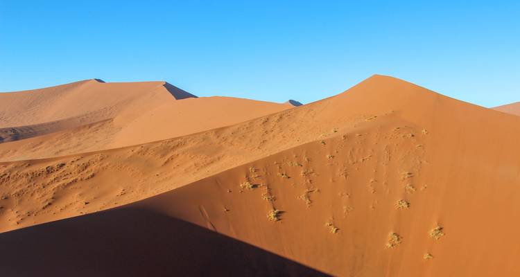 15 Days Namibia Highlights Accommodated Safari - Bluecrane Safaris Namibia 7
