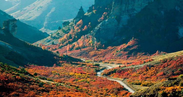 Paisaje otoñal de colores vibrantes con carretera serpenteante a través de las montañas.