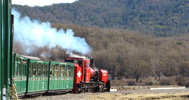 Tren turístico con vagones verdes y rojos viajando a través de una zona boscosa.