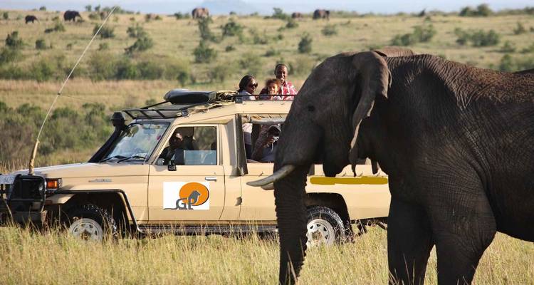 6-Days Aberdares, Lake Nakuru and Masai Mara Wildlife Private Safari - Gracepatt Ecotours Kenya 1