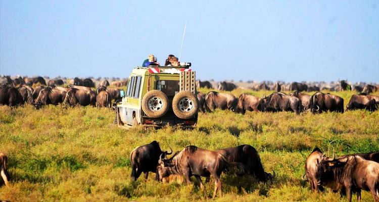 Safari de 10 días por lo mejor de la fauna de Kenia y vacaciones en la playa de Mombasa Diani - Gracepatt Ecotours Kenya 1