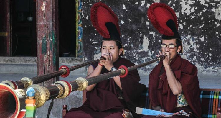 Scenic Nepal with Wildlife - Trip India Hotels and Holidays  10