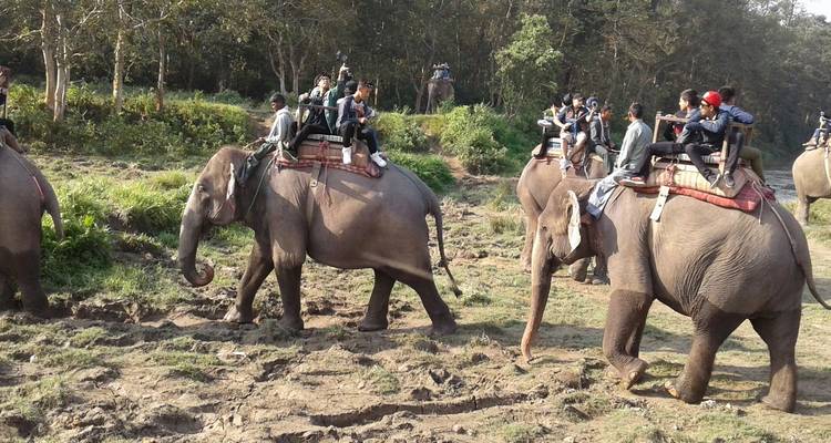 Scenic Nepal with Wildlife - Trip India Hotels and Holidays  9