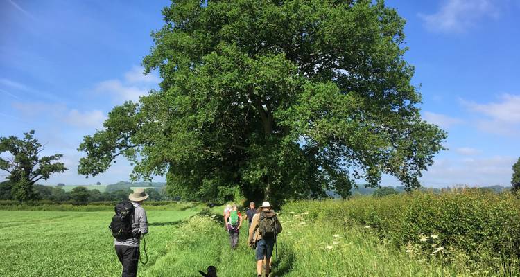 Best of the Cotswolds Self-Guided Walk - Exodus Adventure Travels 7