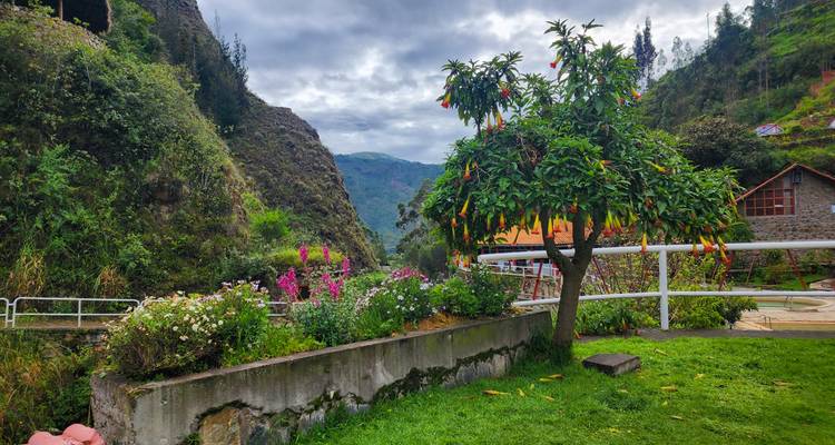 LARES TREK TO MACHUPICCHU - 4 DAYS - Waman Adventures 3
