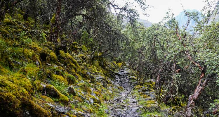 LARES TREK TO MACHUPICCHU - 4 DAYS - Waman Adventures 10