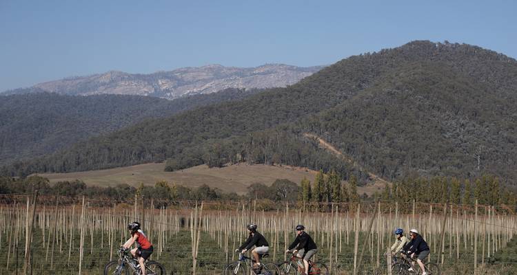 Tour de Bright - Tour cycliste de Beechworth à Bright - Tour de Vines 4
