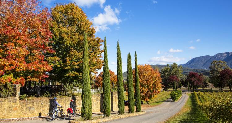 Tour de Bright - Tour cycliste de Beechworth à Bright - Tour de Vines 6