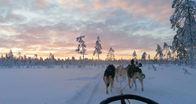 Aventure en pleine nature avec des huskys - Upitrek 7