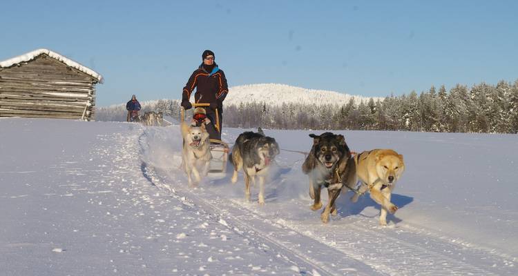 Aventure en pleine nature avec des huskys - Upitrek 3