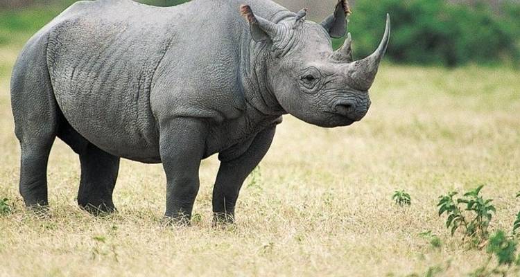 10-Day Tour of Exotic Northeast India: Mawsmai Caves, Living Roots Bridges and Kaziranga National Park - IHCT Heritage & Adventure  Tours 1