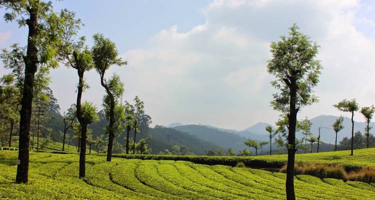10-Day  Tour Of Exotic South India  from Trivandrum To  Kochi - IHCT Heritage & Adventure  Tours 9