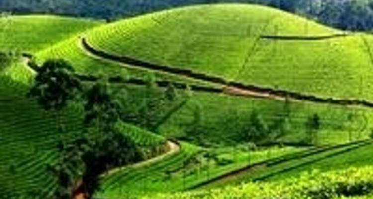 10-Day  Tour Of Exotic South India  from Trivandrum To  Kochi - IHCT Heritage & Adventure  Tours 1
