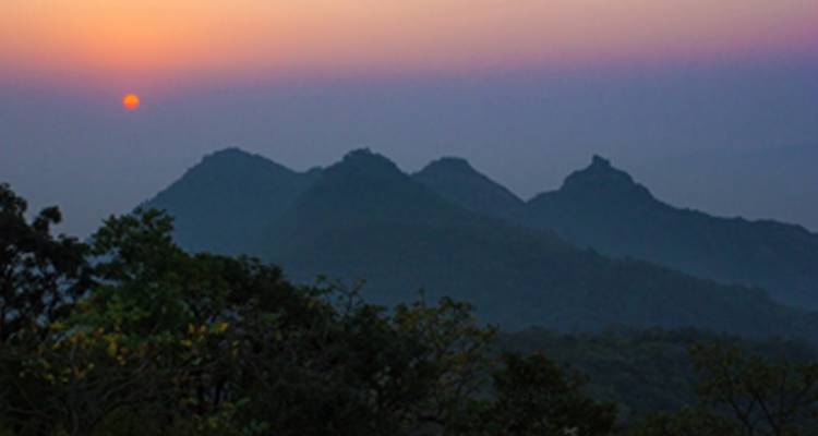 Circuit aventure de 11 jours dans le nord- est de l'Inde : Orchidées sauvages, vallées, jardins de thé et montagnes enneigées de Guwahati à Jorhat - IHCT Heritage & Adventure  Tours 3