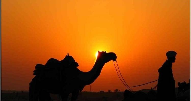 Viaje Inolvidable de 10 días por el patrimonio del sur y centro de Rajastán, desde la Ciudad patrimonio de Jaipur a la Ciudad de los lagos de Udaipur - IHCT Heritage & Adventure  Tours 1