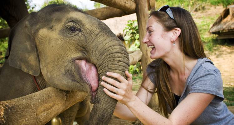 Les éléphants du Sri Lanka - 15 jours - Stelaran Holidays (Pvt) Ltd 1