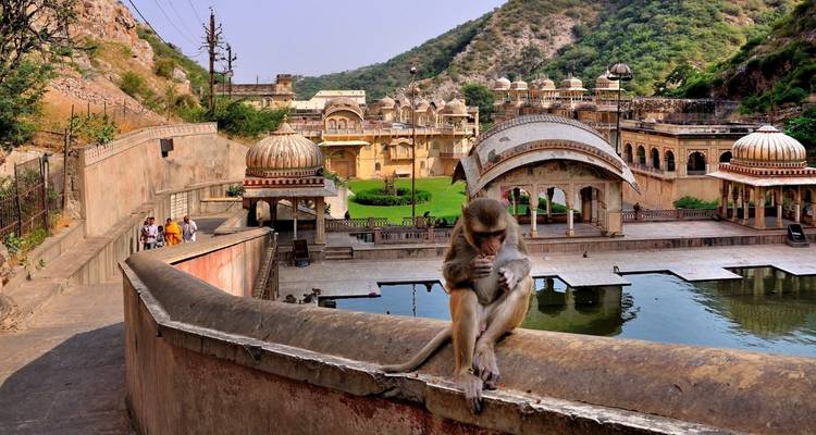 Jaipur Jodhpur Udaipur Pushkar Tour 5 Noches 6 Días - Volunteering With India 4