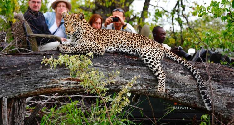 Golden Triangle Tour with Leopard Safari & Taj Mahal Sunrise - Agra Taj Visit 3
