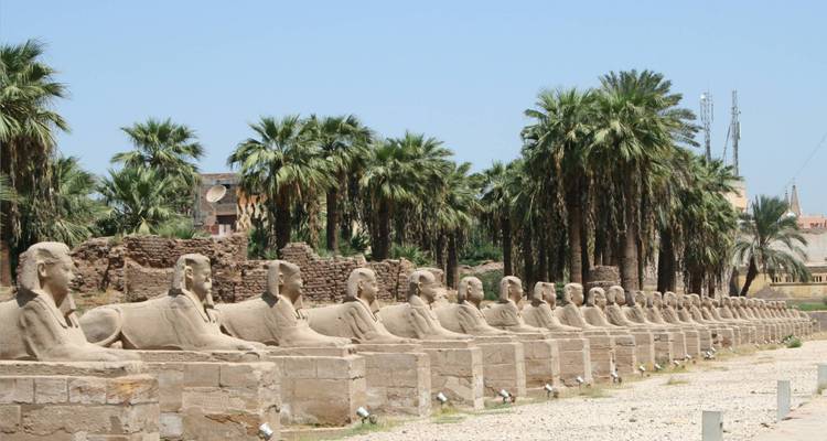 Nile Odyssey: Luxor - Aswan -Abu Simbel - Hot Air balloon A5 days with tour guided - Egypt Direct Tours 10
