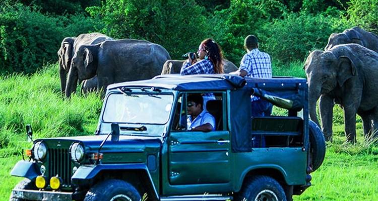 L'enchantement du Sri Lanka - Overa Tours 8