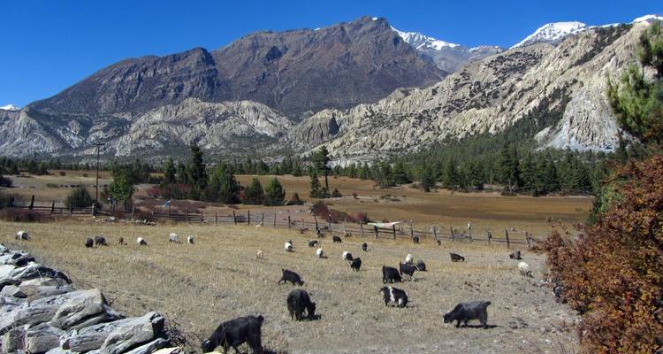 Circuit de l'Annapurna - 15 jours - Oriental Journeys Pvt. Ltd. 4