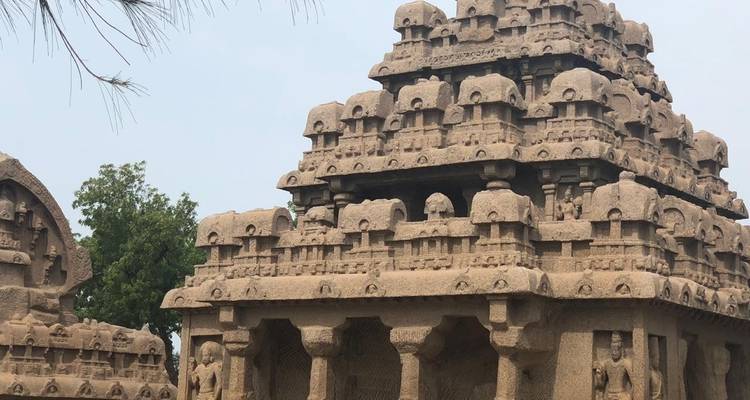 Exclusive Culinary Tour of South India - ( 15 Days & 14 Nights ) - Ghum India Ghum 10
