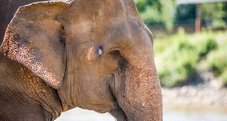 Les points forts de la Thaïlande - Intrepid Travel 10