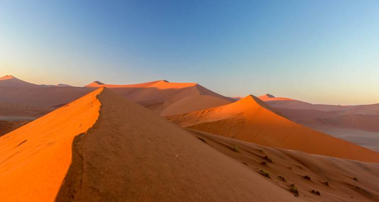 Namibie du Nord, Damaraland, Côte et Sossusvlei - Safari camping - 10 jours - Bluecrane Safaris Namibia 6