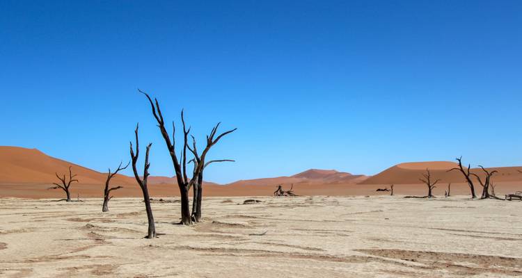 Namibie du Nord, Damaraland, Côte et Sossusvlei - Safari camping - 10 jours - Bluecrane Safaris Namibia 2
