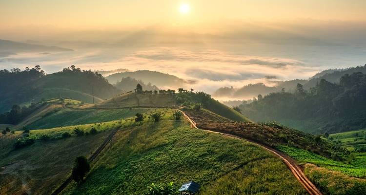Malerische Aussicht auf einen Sonnenaufgang über sanften Hügeln, die in Nebel gehüllt sind.