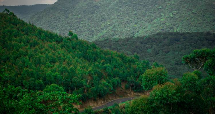Tailor-Made Best Kerala Tour Package, Daily Depart & Private Car - Agate Travel 8