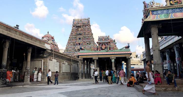 Tailor-Made Best Kerala Tour Package, Daily Depart & Private Car - Agate Travel 10